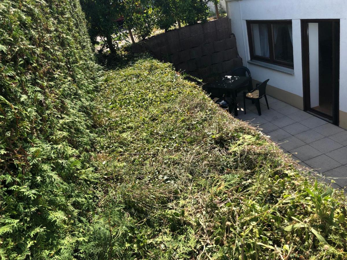 Ferienwohnung Familie Hinrichs Dorn-Durkheim Exterior foto